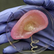 Illustration for article titled This 3D-Printed Cyborg Ear Comes With a Built-In Antenna